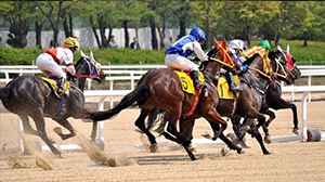 What are the most famous horse racing destinations?