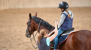 Specifications and requirements of horse centers for training and recreational riding