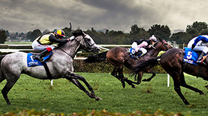 Tips To Win Horse Racing Betting